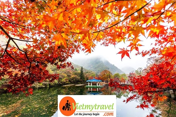 Visa Xuất Khẩu Lao Động Hàn Quốc