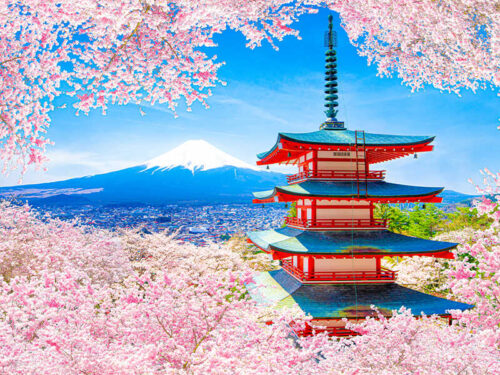 tour-di-nhat-ban-vietmytravel