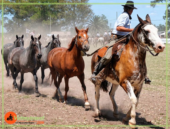 Estancia Santa Susana