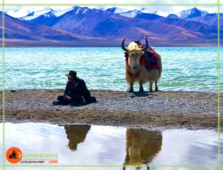 du lịch tây tạng Vietmytravel