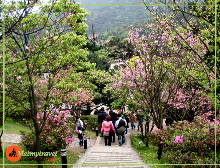 du lịch đài loan vietmytravel