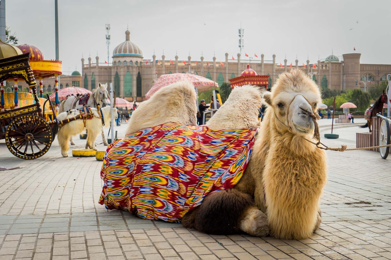 du lịch châu á Vietmytravel