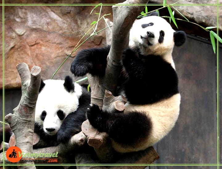 du lịch trung quốc vietmytravel