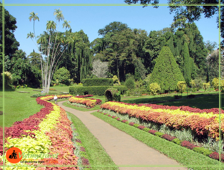 du lịch sri lanka maldives Vietmytravel
