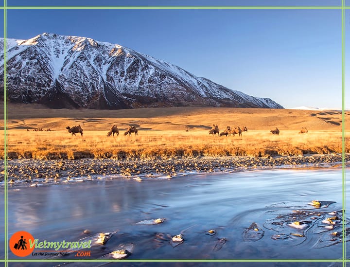 du lịch mông cổ vietmytravel