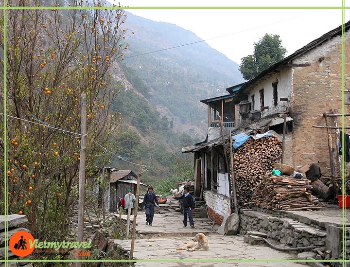 du lịch Nepal Vietmytravel