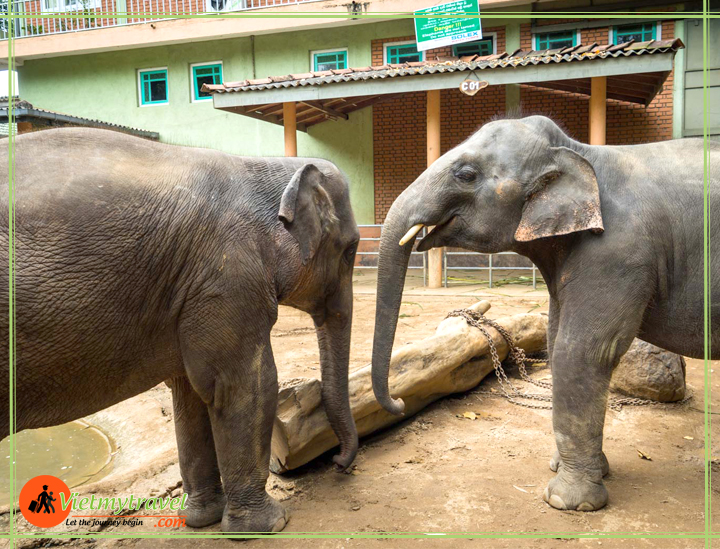 du lịch sri lanka maldives Vietmytravel