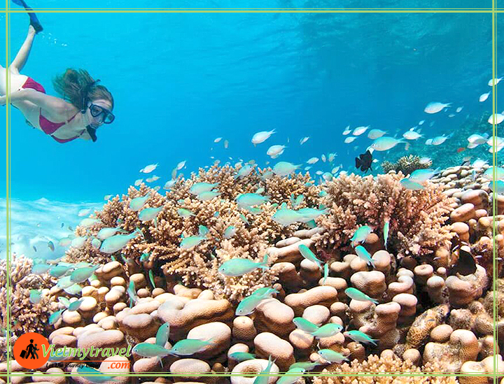 du lịch sri lanka maldives Vietmytravel