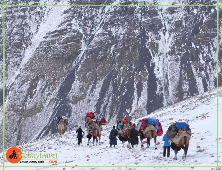 du lịch mông cổ vietmytravel