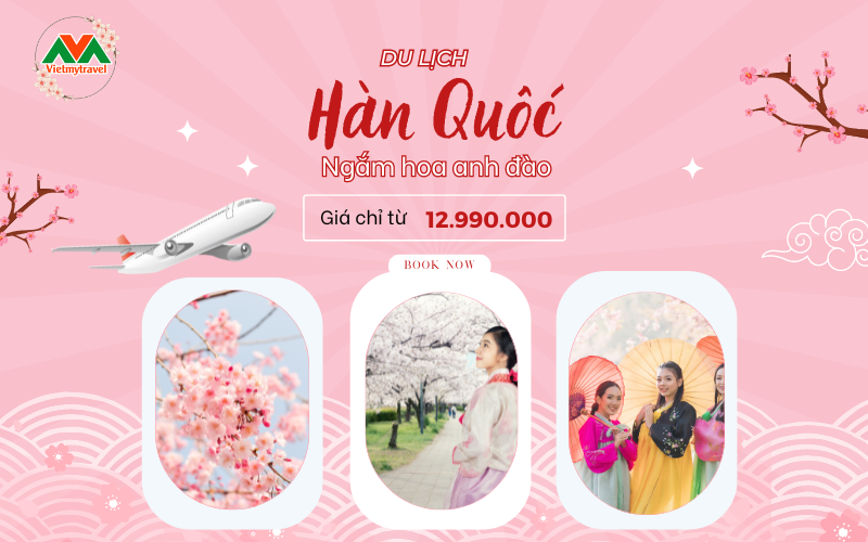 tour-du-lich-han-quoc-ngam-hoa-anh-dao