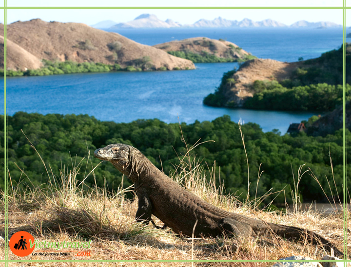 du lịch indonesia Vietmytravel