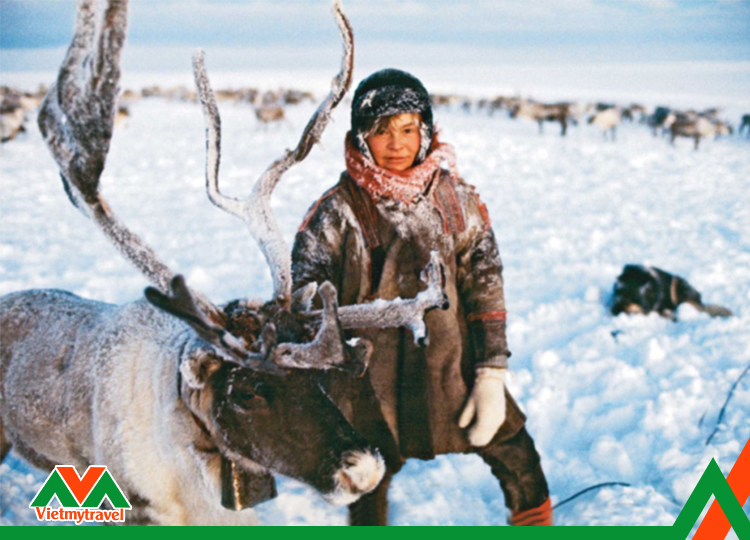 Khám phá vẻ đẹp mùa đông nước Mỹ - Du lịch Mỹ mùa nào đẹp nhất?