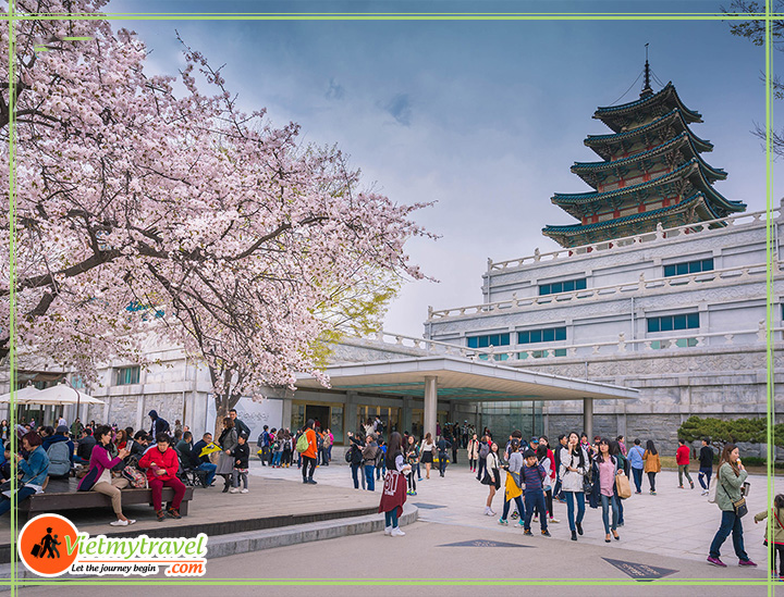 du lịch hàn quốc