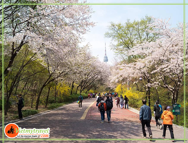 du lịch hàn quốc