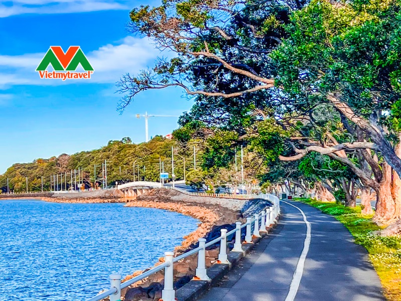 Tamaki Waterfront Drive