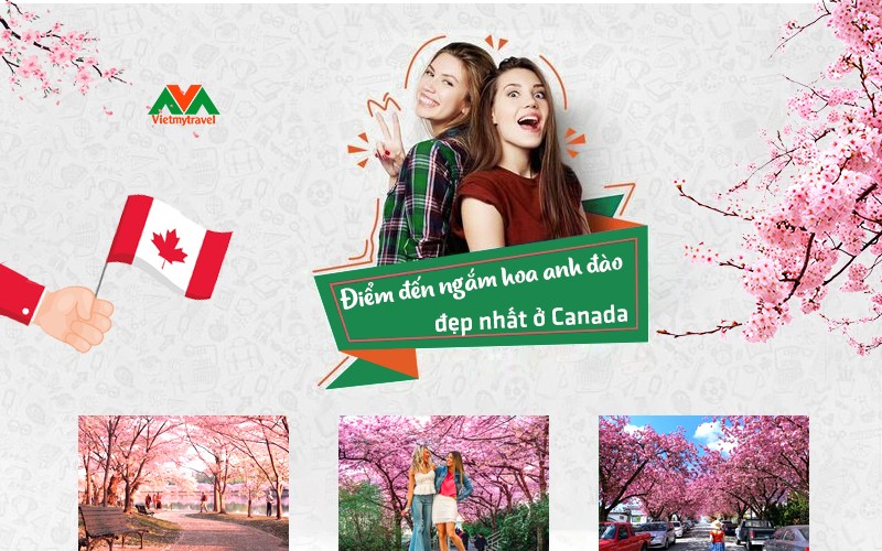 Điểm đến ngắm hoa anh đào đẹp nhất ở Canada - Vietmytravel