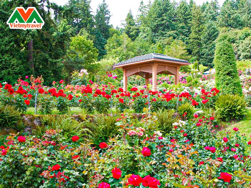 trung-tam-thu-nghiem-hoa-hong-quoc-te