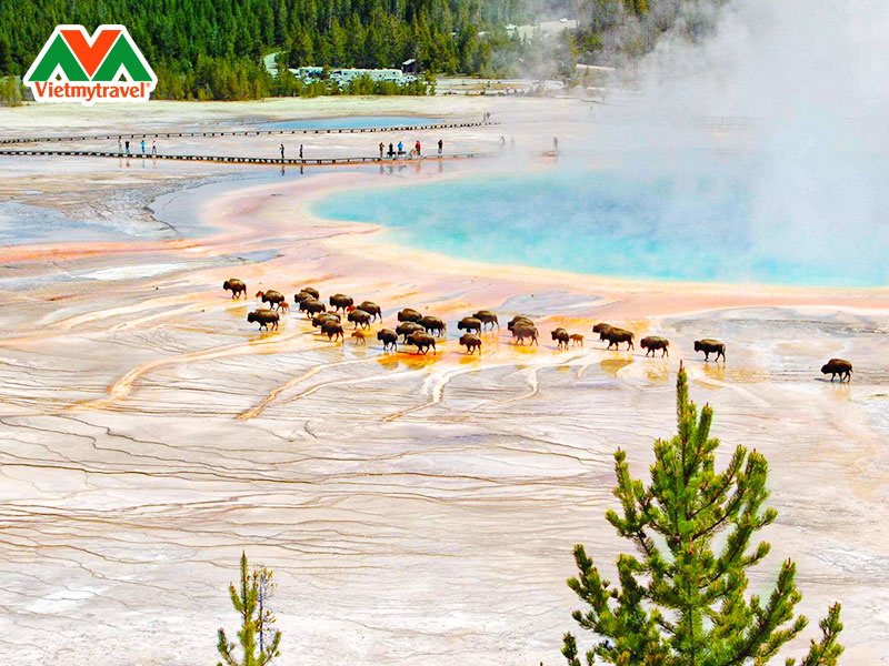 yellowstone-national-park