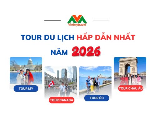 top-5-tour-du-lich-hap-dan-nhat-2026-vietmytravel