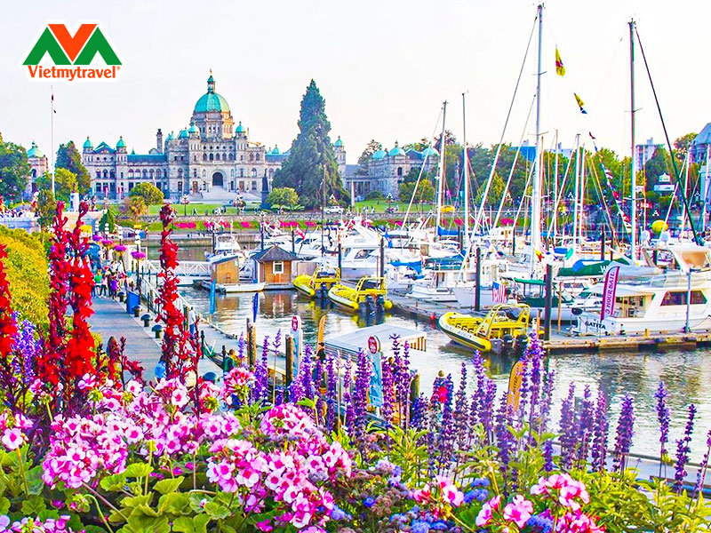 ben-pha-british-columbia