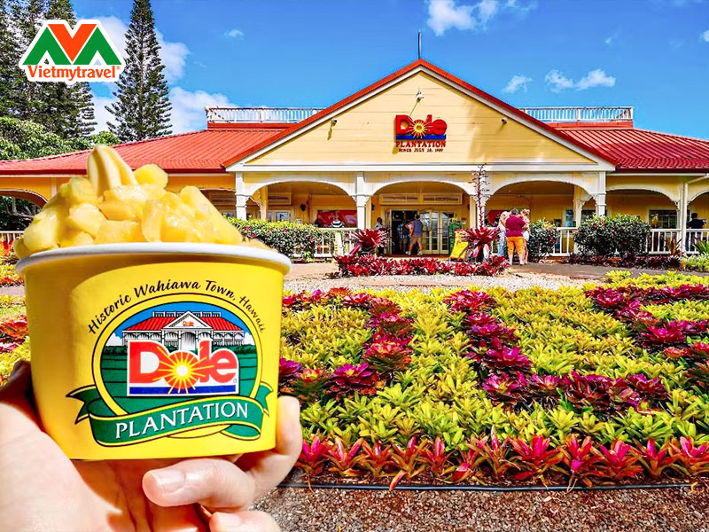 dole-plantation