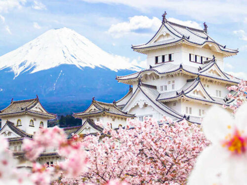 tour-du-lich-nhat-ban-xuan-2025-vietmytravel