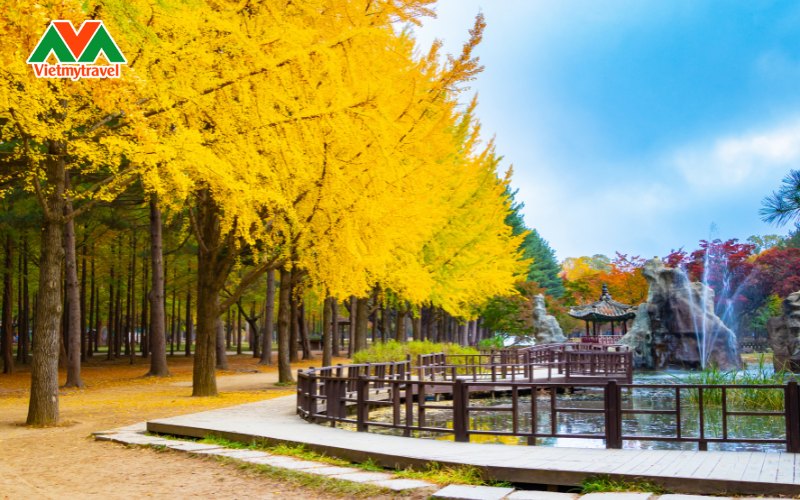 du-lich-seoul-tham-quan-dao-nami