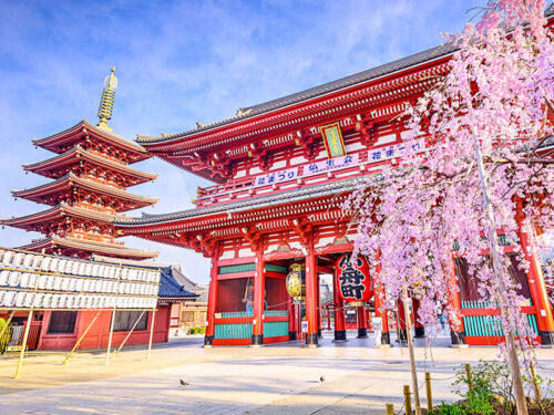 tour-nhat-ban-tron-goi-vietmytravel