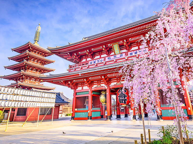 tour-nhat-ban-tron-goi-vietmytravel