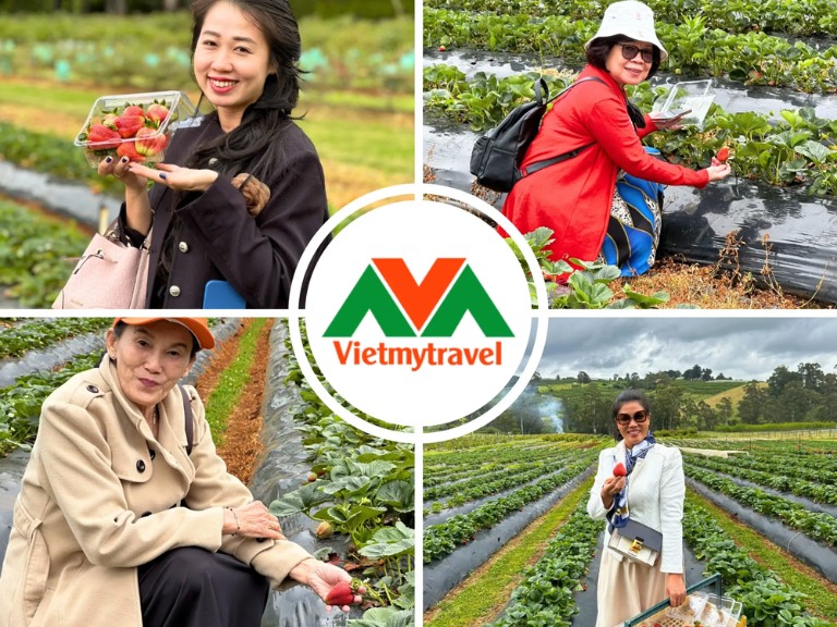 Tour du lịch Úc Sydney - Melbourne trải nghiệm hái trái cây