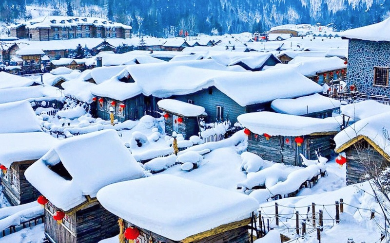 bang-tuyet-thap-li-hoa-lang-vietmytravel