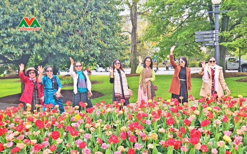 Khám phá tour du lịch Úc lễ hội hoa Floriade đặc sắc 2026