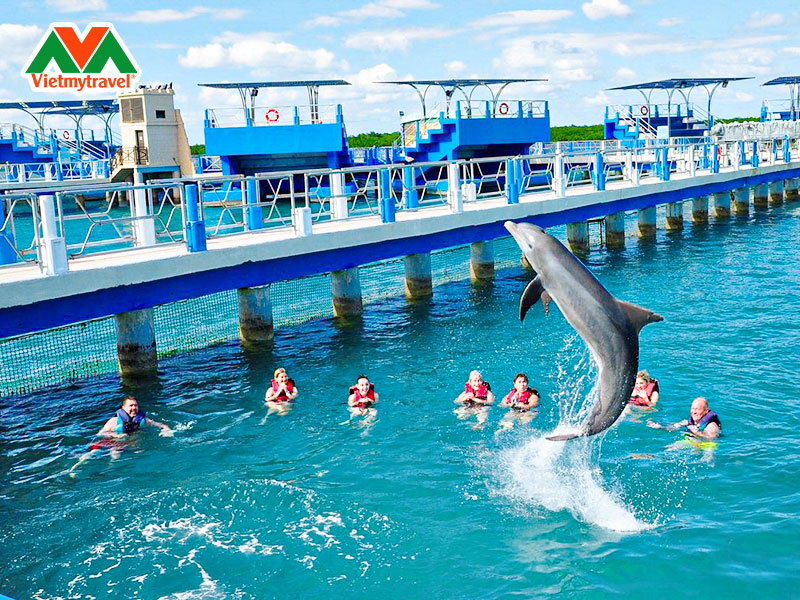 xem-bieu-dien-ca-voi-cuba