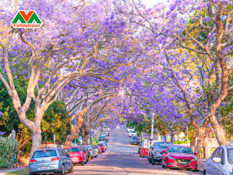 Đi Úc tháng mấy đẹp nhất trong năm?