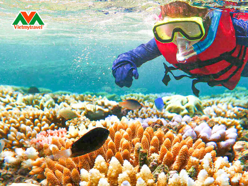 Điểm đến du lịch Úc hấp dẫn du khách quên lối về