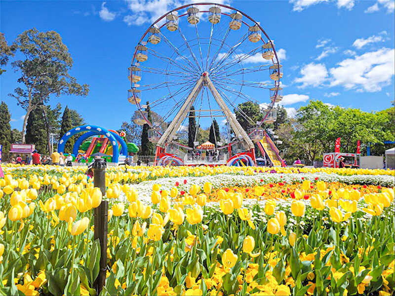 tour-du-lich-uc-sydney-melbourne