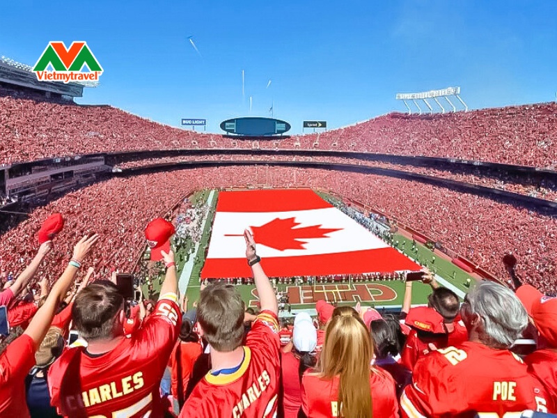 Địa điểm tổ chức World Cup 2026