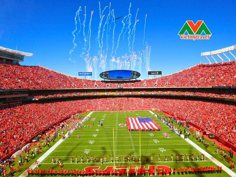 san-van-dong-arrowhead